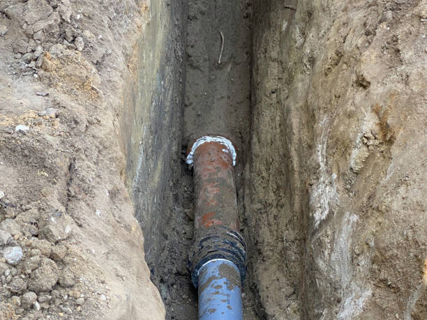 Best Basement water damage restoration  in Ives Estates, FL