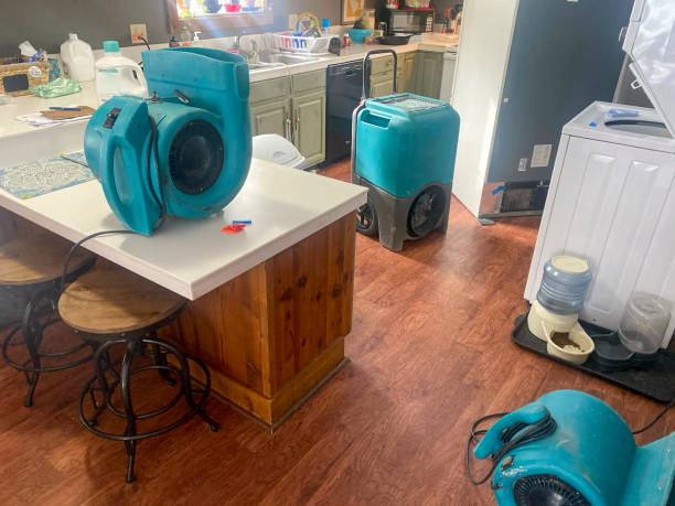 Best 24/7 water damage repair  in Ives Estates, FL