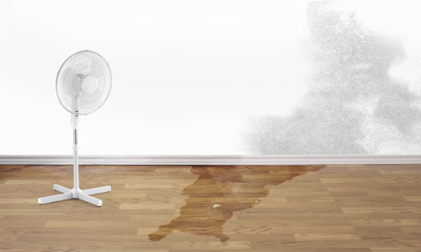 Best 24-hour water damage restoration  in Ives Estates, FL