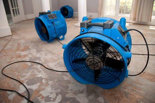 Trusted Ives Estates, FL Water damage restoration Experts