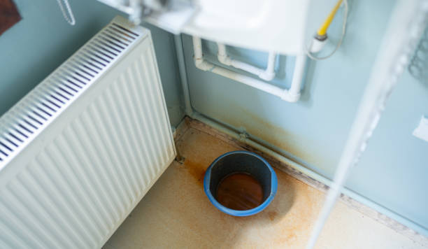 Best Commercial water damage restoration  in Ives Estates, FL