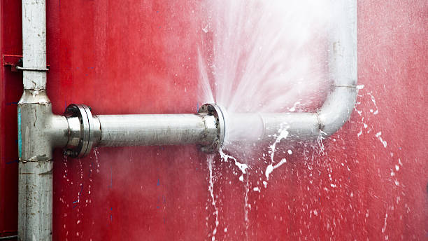 Best Water damage restoration near me  in Ives Estates, FL